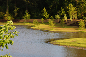 Construction of the Hendrix Creek Preserve.